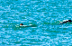 image0425