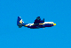 image0433