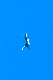 image0488