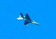image0491