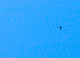 image0497