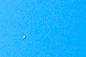 image0498