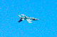 image0502