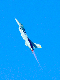 image0509