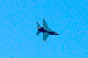 image0513