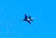 image0523