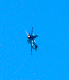 image0531