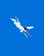 image0538