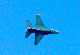 image0544