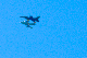 image0563