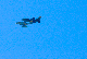 image0564