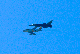 image0565