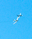 image0573