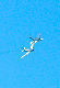 image0574