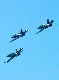 image0595