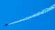 image0645