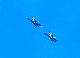 image0651