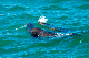 image0674