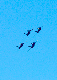 image0697