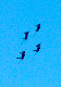 image0698