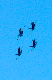 image0699
