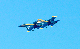 image0736