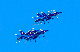 image0743