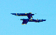 image0787