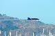 image0797