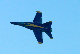 image0803