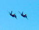 image0848