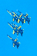 image0853
