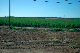 image0871