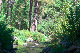 image0889