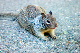 image0928