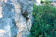 image0930