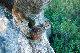 image0932