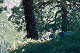 image0950