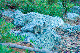 image0953