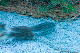 image0954
