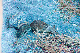 image0955