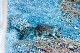 image0956