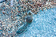 image0959