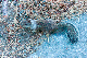 image0961