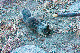 image0963