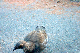 image0967