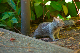 image1012