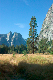 image1015