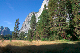 image1016