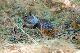image1058